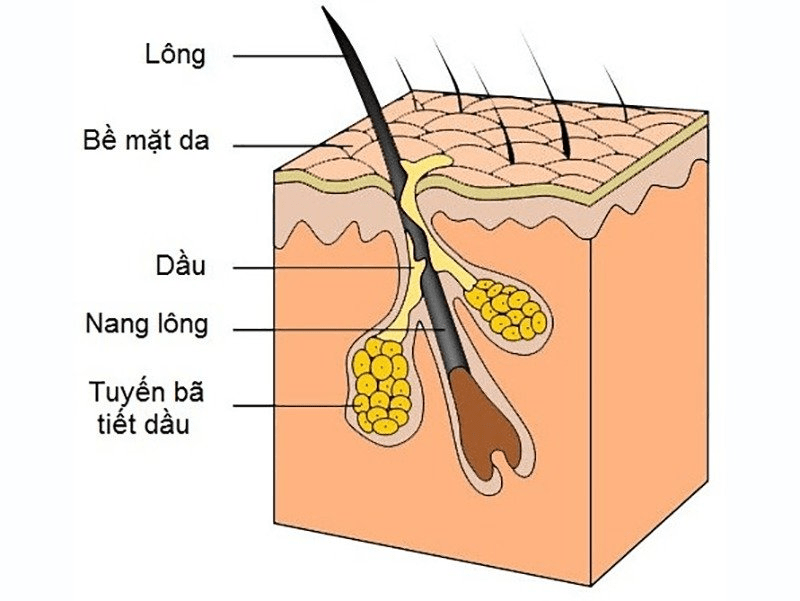 se khít lỗ chân lông, cách trị lỗ chân lông to