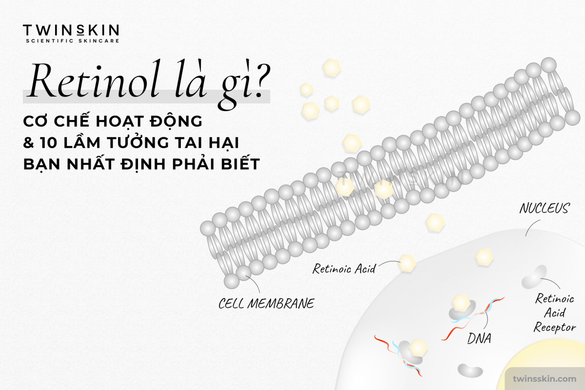 retinol là gì