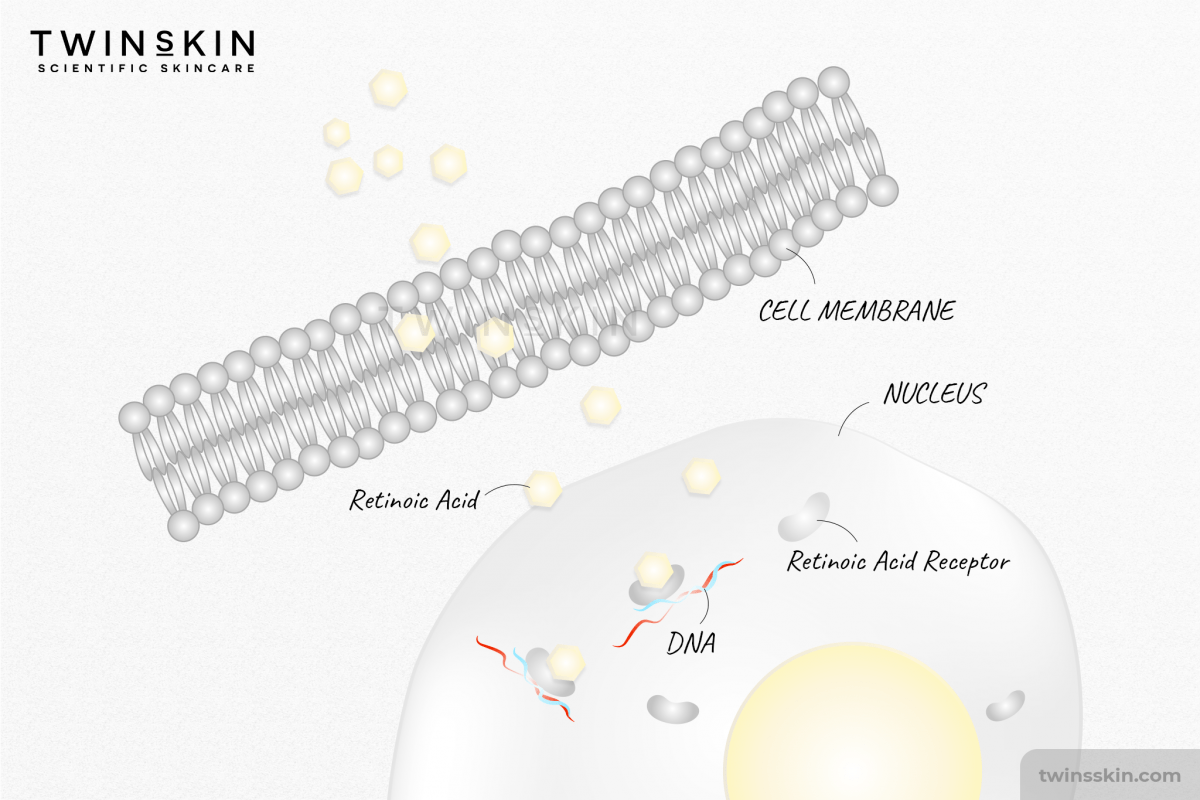 cach-dung-retinoic acid