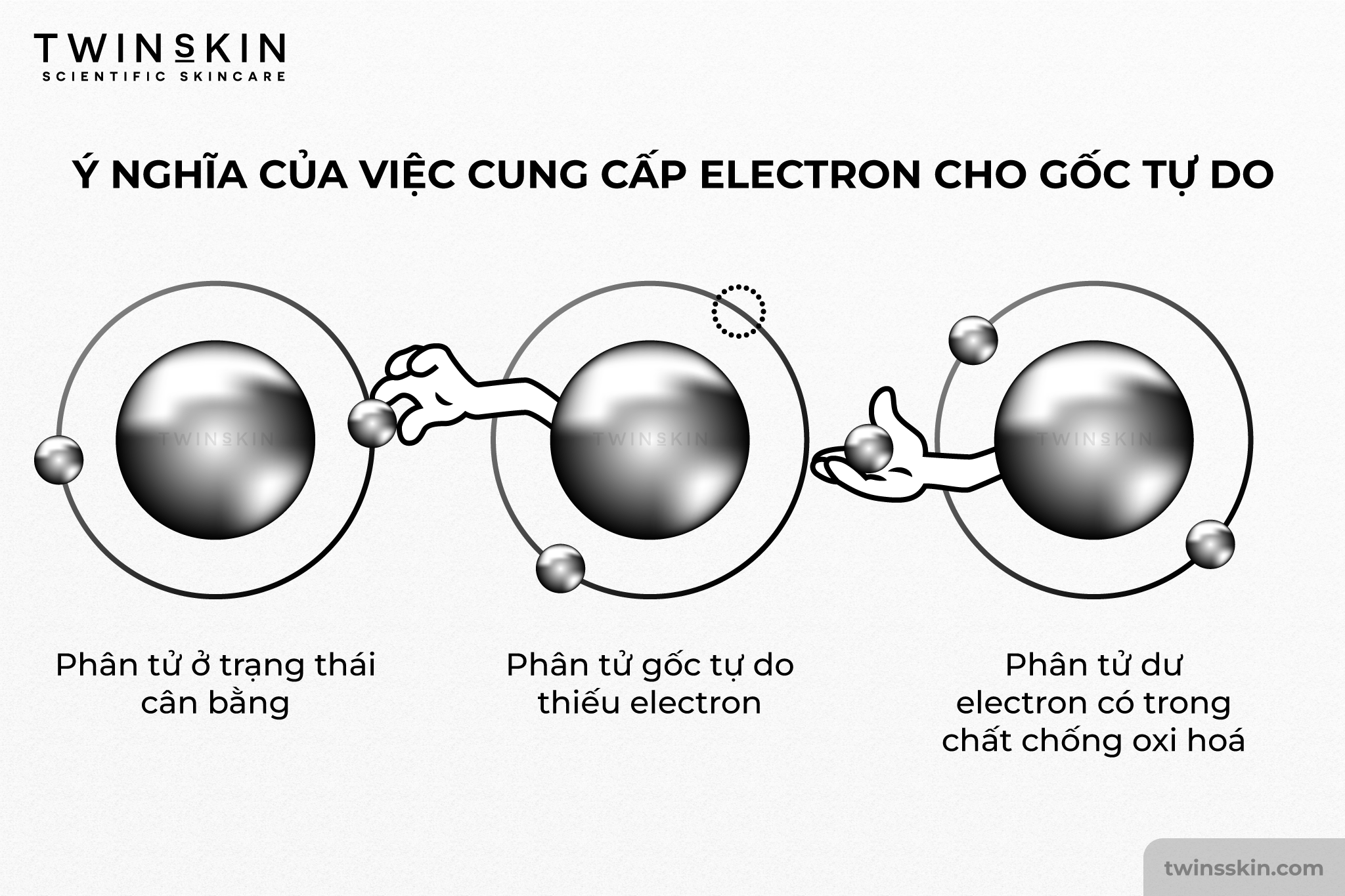 ferulic-acid-cung-cap-electron-cho-goc-tu-do