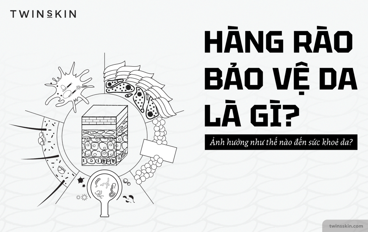 cover-hang-rao-bao-ve-da