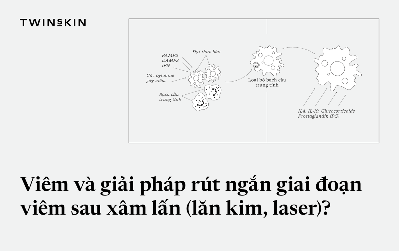 cover-viem-sau-xam-lan-da-1