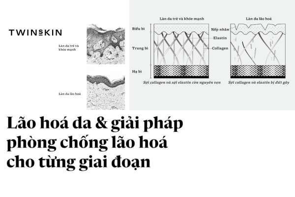 Lão hoá da & giải pháp phòng chống lão hoá cho từng giai đoạn