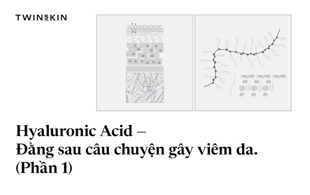 [PHẦN 1] Hyaluronic Acid (HA) - Đằng Sau Câu Chuyện Gây Viêm Da