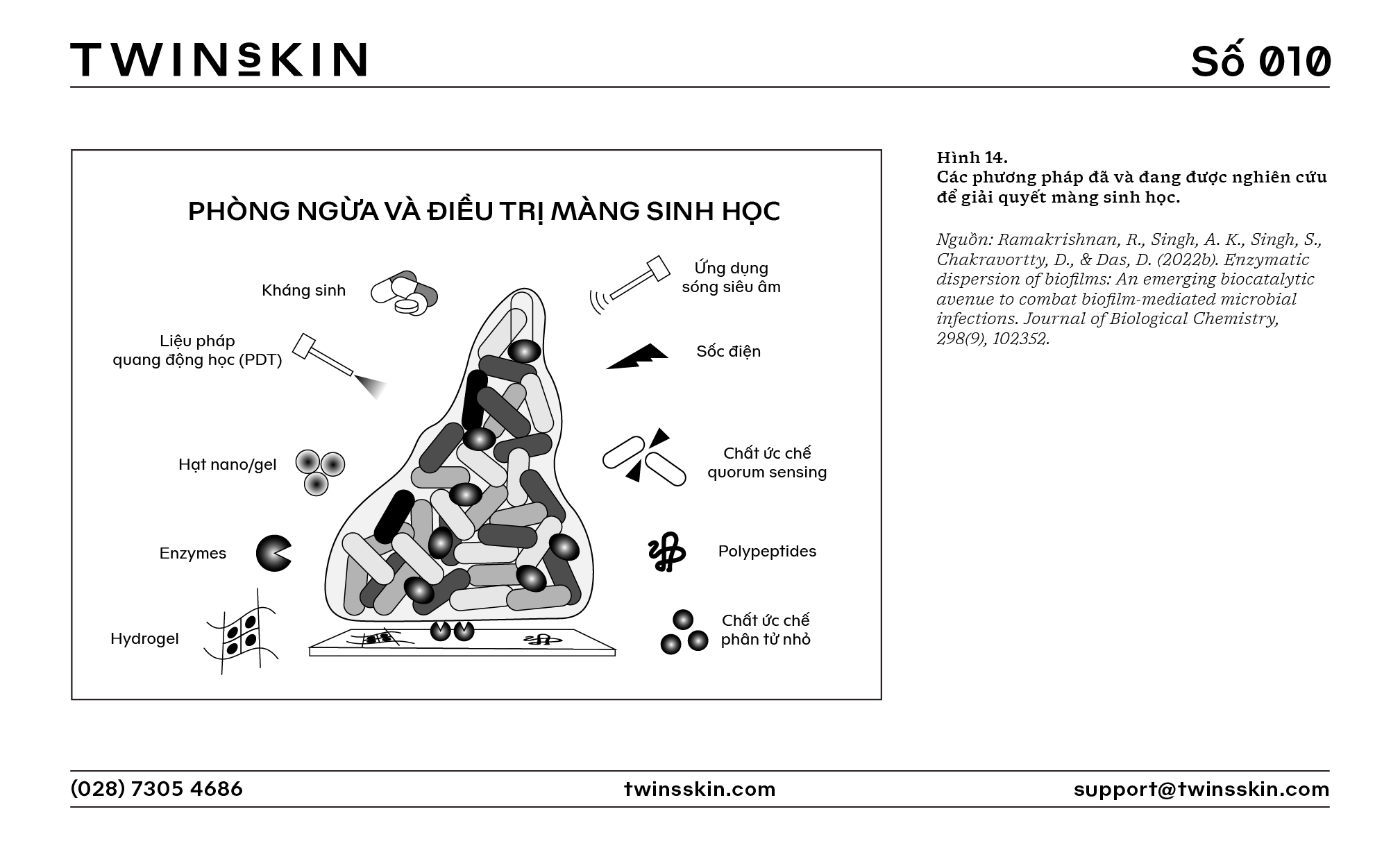 Màng sinh học và câu chuyện kháng kháng sinh - Sự đáng sợ khi vi khuẩn biết “hiệp đồng”