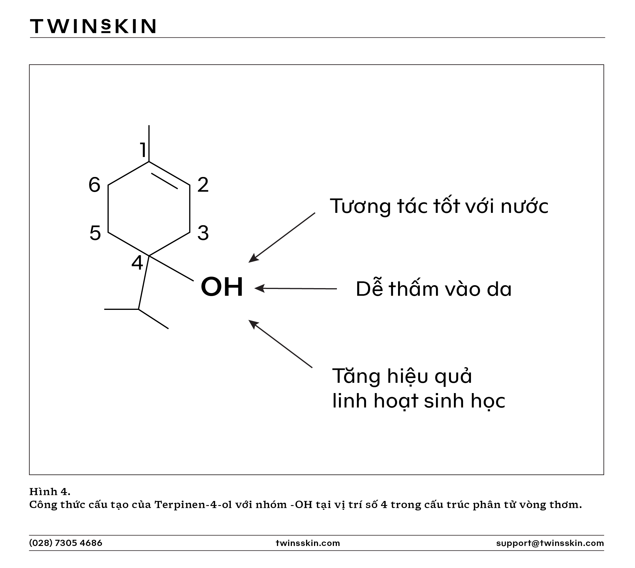 Terpinen-4-ol - Hoạt chất giảm khuẩn, nấm v&agrave; hỗ trợ giảm vi&ecirc;m, ngừa "mụn kh&aacute;ng kh&aacute;ng sinh"