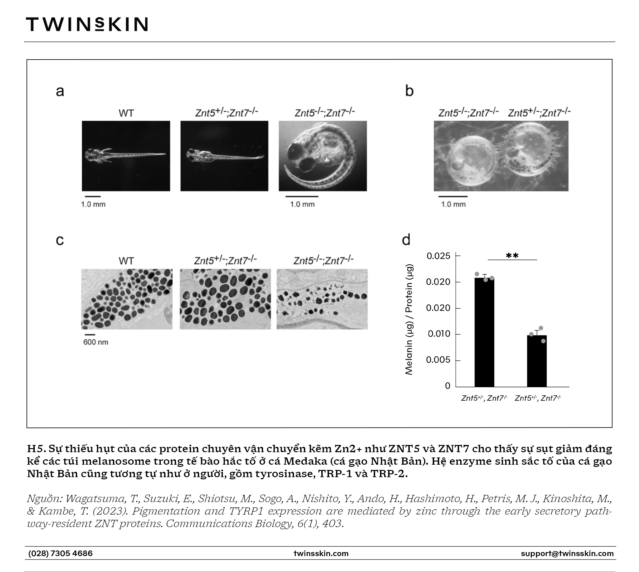 Hệ thống enzyme kích thích sinh nám