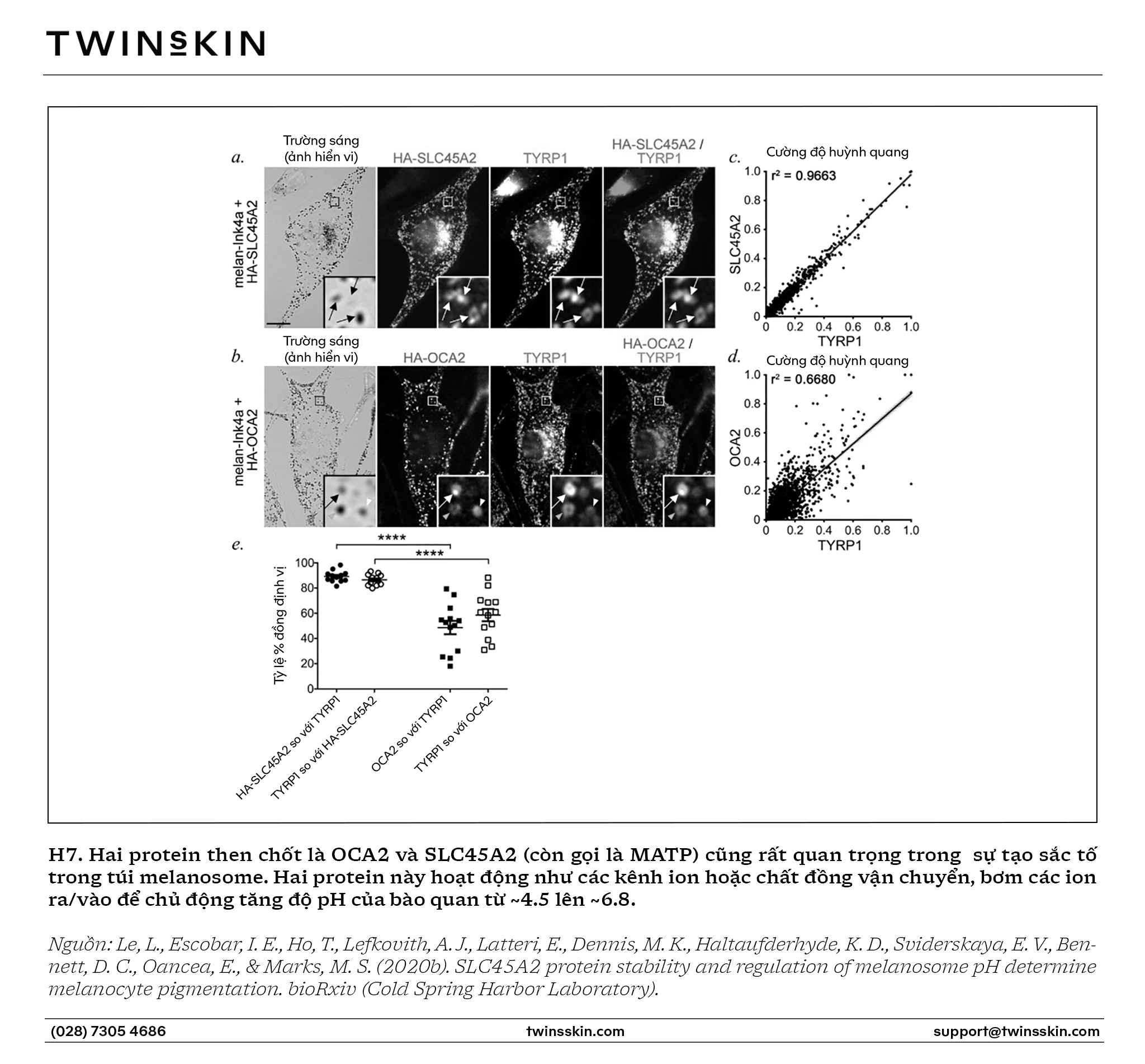 Hệ thống enzyme kích thích sinh nám