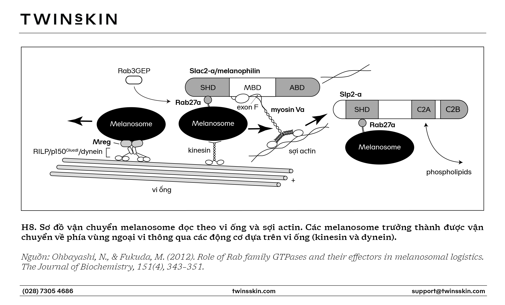 Hệ thống enzyme kích thích sinh nám
