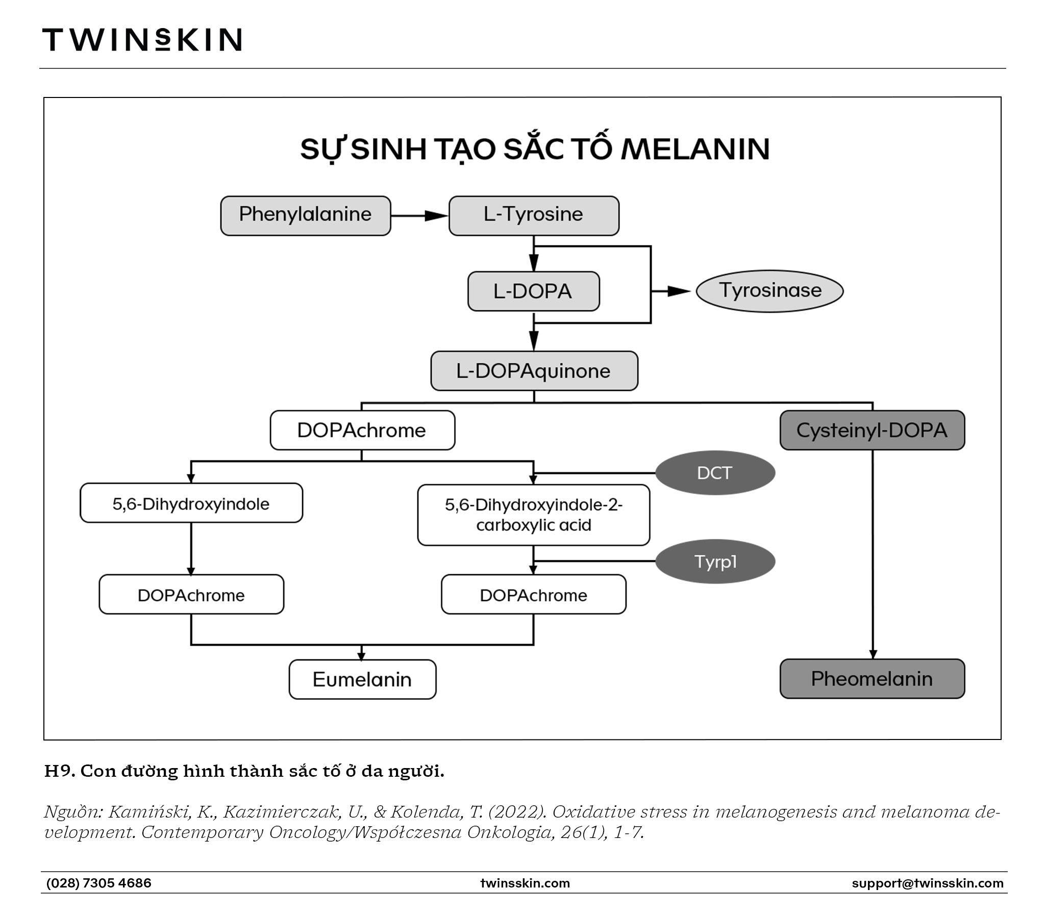 4 hệ thống chức năng rối loạn sinh nám da